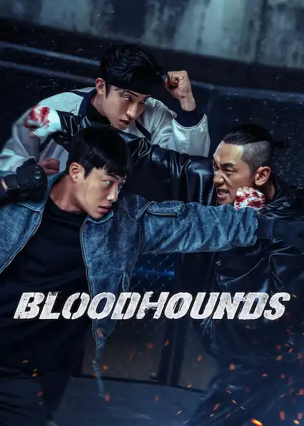 Bloodhounds Season 2 Hindi English Dual Audio Completed Web Series HEVC ESub